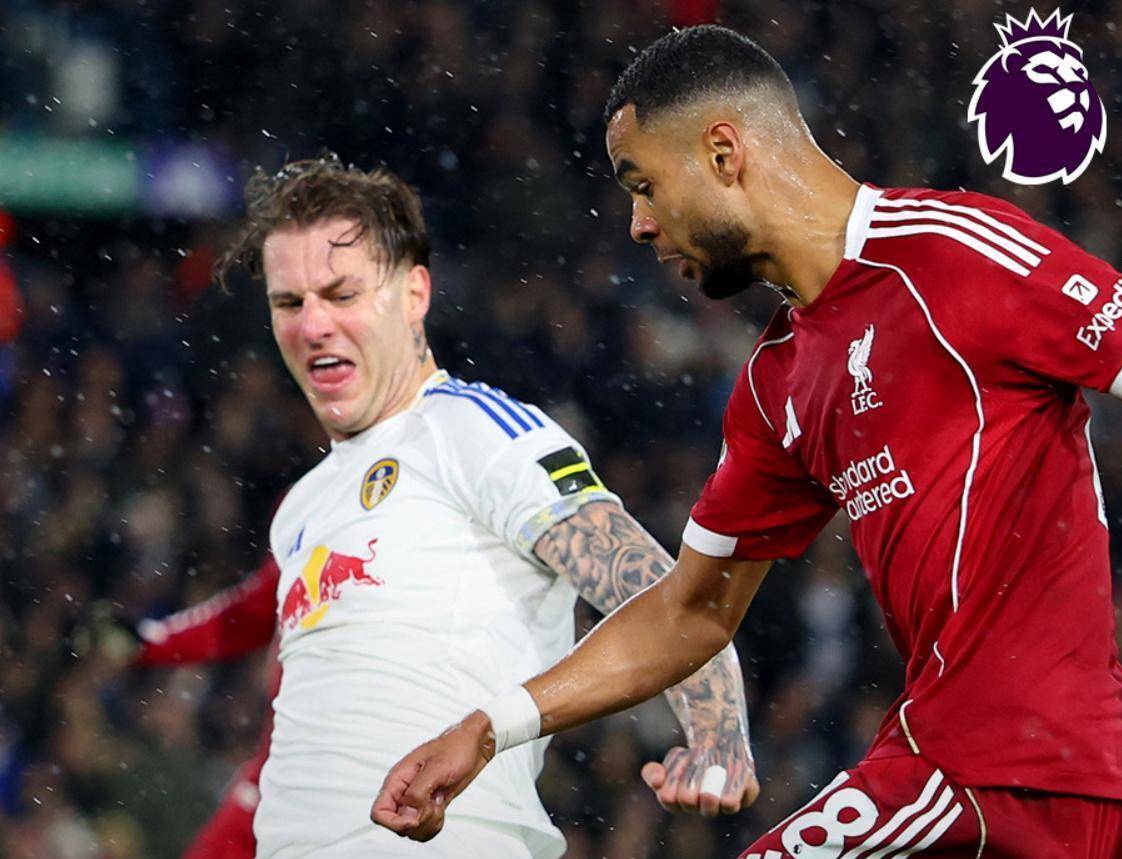 山东泰山最新消息引援今天九游体育app官方下载